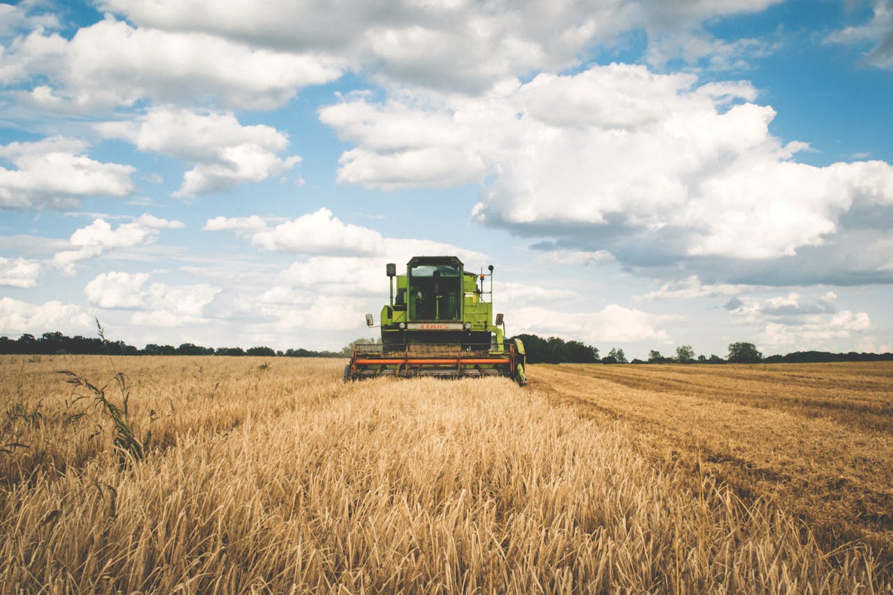about-06 A green tractor harvesting wheat in a vast open field under a bright, cloudy sky.