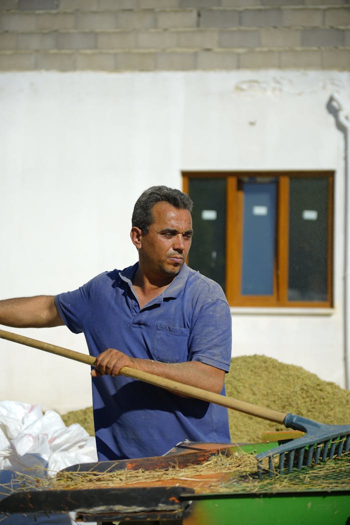 services-10 A dedicated Turkish farmer working outside, raking hay in a sunny setting.