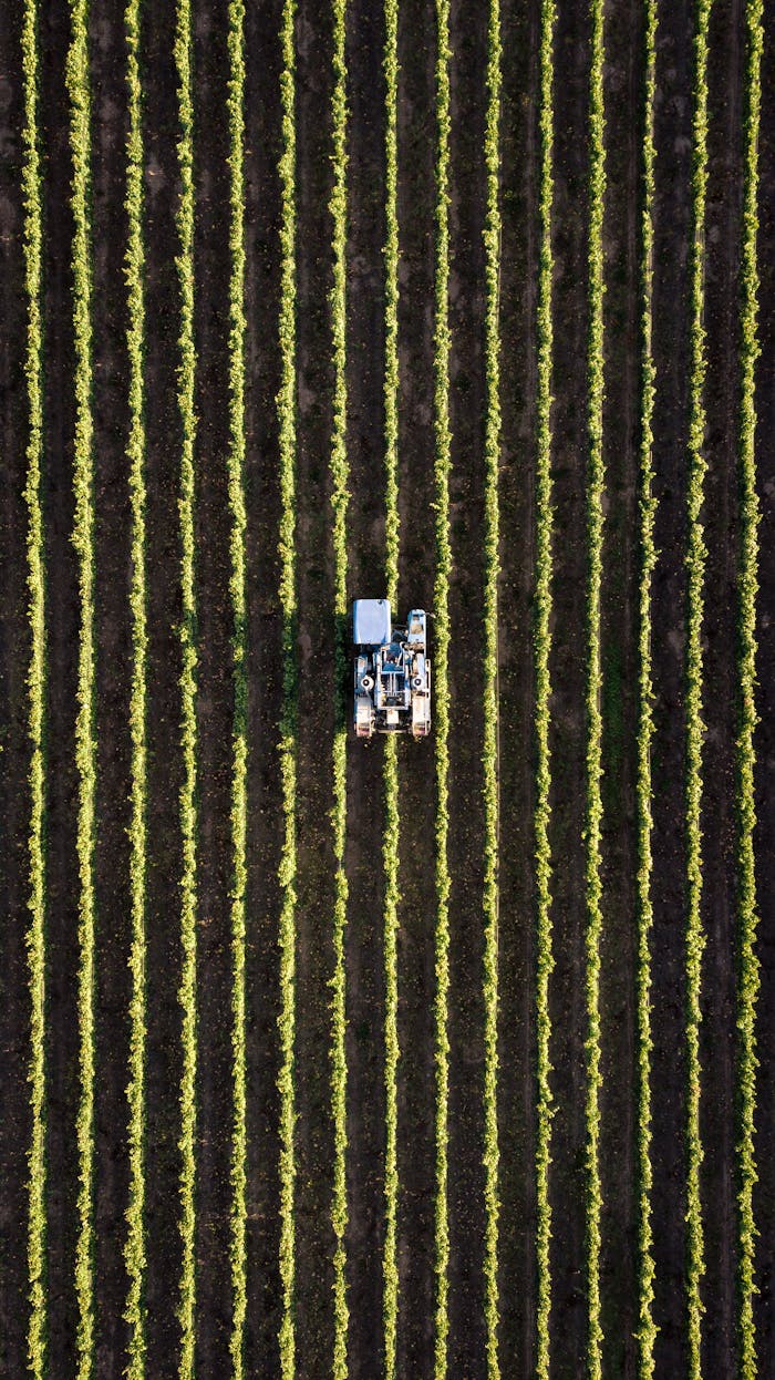 about-03 Aerial view of a tractor working in neat rows of a field, showcasing modern agriculture.